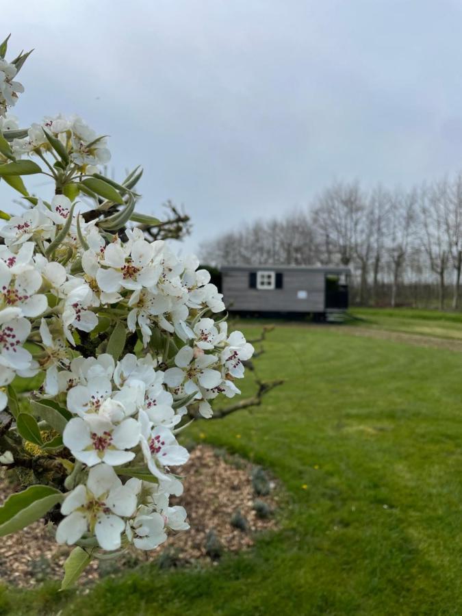 Lodge 61 Hotel Aan Het Water Medemblik Esterno foto